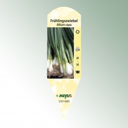 Bild Stecketiketten Favorit Allium cepa