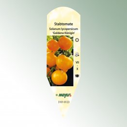 Bild Stecketiketten Favorit Solanum Iyc. 'Goldene Königin'