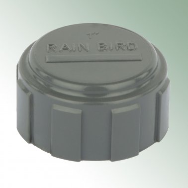 Rain Bird® PVC Kappe 1