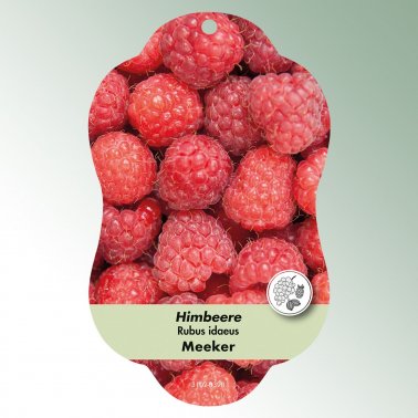 Bild Hängeetiketten Comfort Rubus idaeus 1