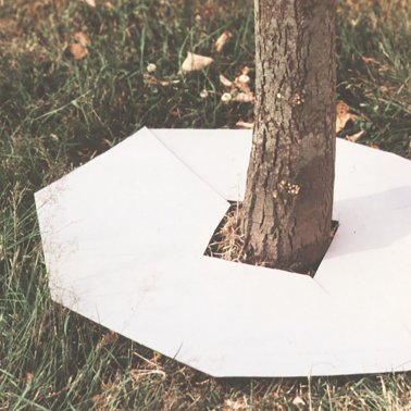 TOPLAN-Mulchplatten Durchmesser 40 cm 1