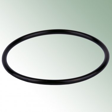 O-Ring passend für Arkal Filter 2 x 1&#039;&#039; AG und 1