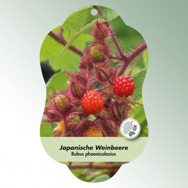 Bild Hängeetiketten Comfort Rubus phoenicolasius 1