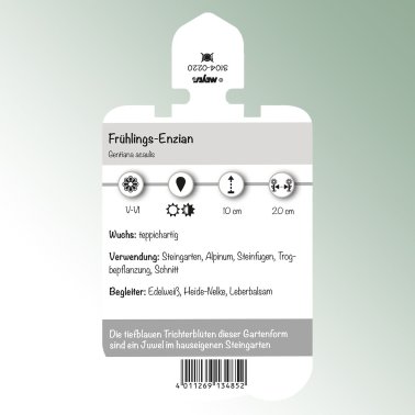 Bild Stecketiketten Stauden Gentiana acaulis Frühlings-Enzian