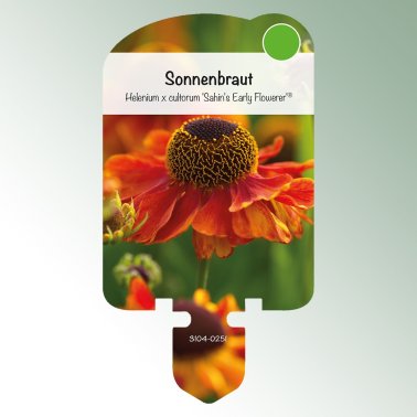 Image Stick-on labels perennials Helenium 'Sahin's Early F.'® Sunflower