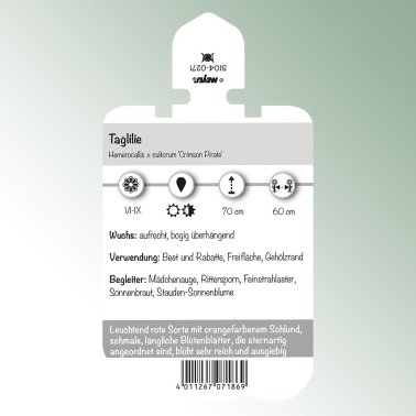 Image Stick-on labels perennials Hemerocallis 'Crimson Pirate' daylily