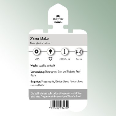 Bild Stecketiketten Stauden Malva sylvestris 'Zebrina' Zebra-Malve