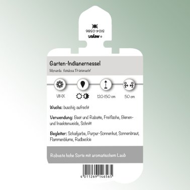 Bild Stecketiketten Stauden Monarda fist. 'Prärienacht' Garten-Indianernessel