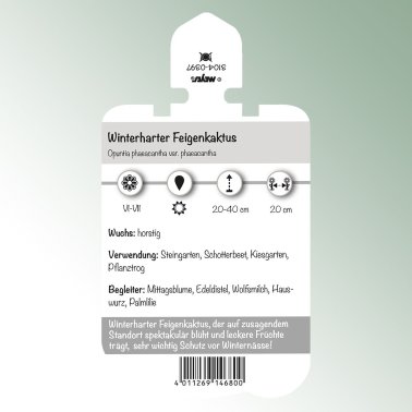 Bild Stecketiketten Stauden Opuntia phaeacantha v. phaec.
