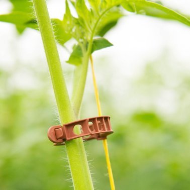 Bato Clipper, Ø 23 mm, 10.500 Stück