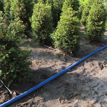 Flachschlauch 1 1/2'' - 38,0 mm, 100 m