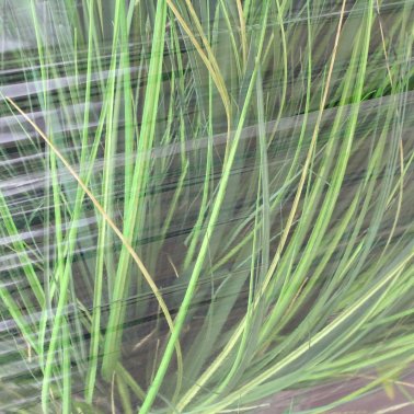 Stretch film transparent 500 mm, thickness = 0.017 mm, 2,000 m