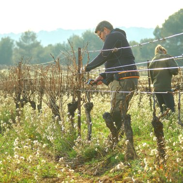 PELLENC Akku-Schere C3X mit Akku ALPHA LITE