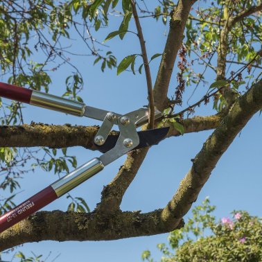 Astschere FREUND Profi 13-27