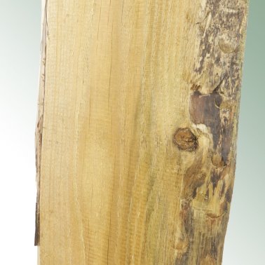 Zaunbohle Bonanza, 20 x 250 cm, kesseldruckimprägniert