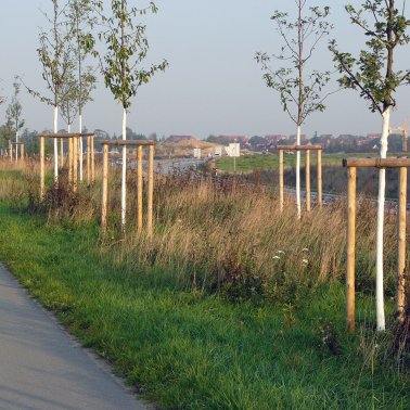 Spezial-Schleifvlies ca. 100 x 115 mm, zur Stammreinigung