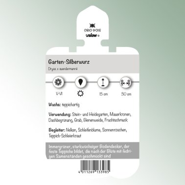 Bild av etiketter för perenna växter Dryas x suendermannii trädgårdssilverrot