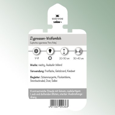 Picture labels perennials Euphorbia cypar. 'Fens Ruby' Cypress spurge