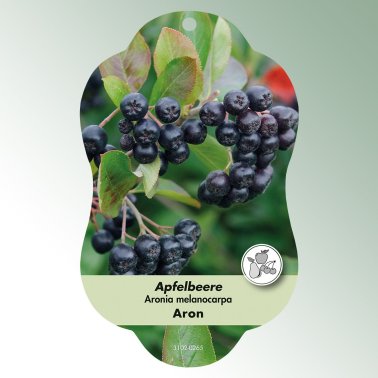 Bild Hängeetiketten Comfort Aronia melanocarpa Apfelbeere Aron