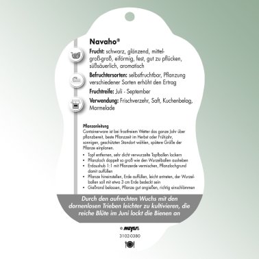 Bild Hängeetiketten Comfort Rubus fruticosus Dornenlose Brombeere Navaho®