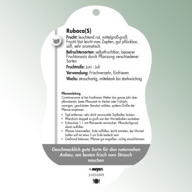 Bild Hängeetiketten Comfort Rubus idaeus Himbeere Rubaca(S)