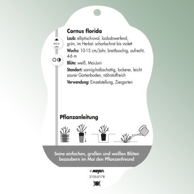 Bild Hängeetiketten Laub Cornus florida Amerik. Blumen-Hartriegel