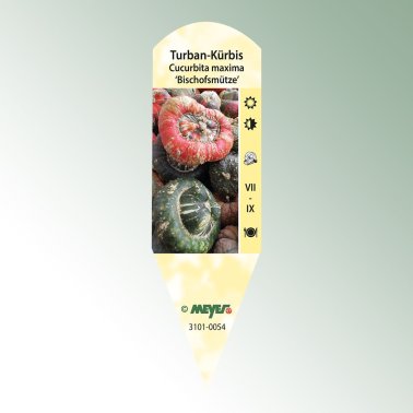 Bild klisteretiketter favorit Cucurbita maxima biskopsmitra turban pumpa