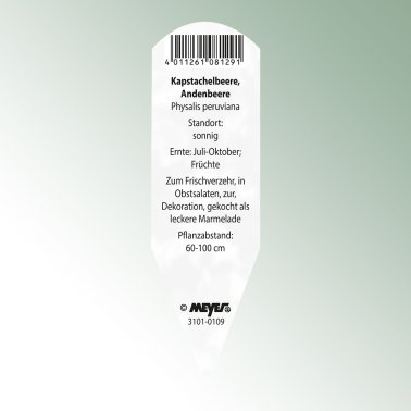 Bild Stecketiketten Favorit Physalis peruviana Kapstachelbeere, Andenbeere