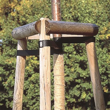 Baumpfähle (imprägniert)