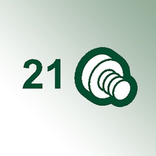 Nylon-Schraube Ø 4 mm Nr. 21 für Bindezange Attalink-3A/6A