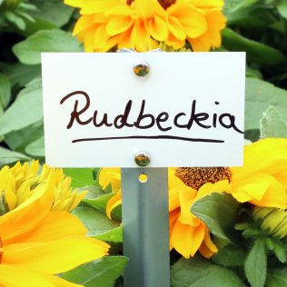 Schilder für Meyer-Standetiketten