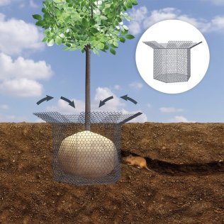 GROWtect Wühlmauskorb PRO