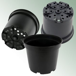 SX Container (Palette)