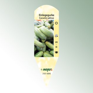 Bild av klippetiketter Favorit Cucumis sativus Inlagd gurka
