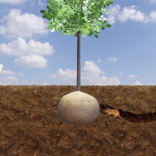 GROWtect Wühlmausschutz (Rolle)