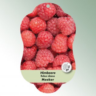 Bild Hängeetiketten Comfort Rubus idaeus