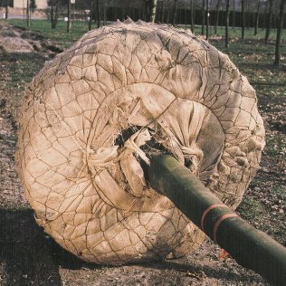 Draht-Korb-Classic Größe 2 Durchm. 50 cm / Pckg. 50 Stck
