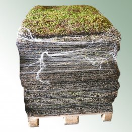 Nophadrain Vegetationsmatte NDSEDUMMAT, 0,8 x 1,2 m