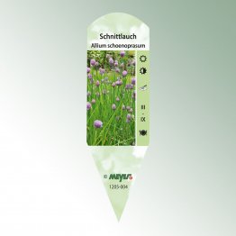 Bild Stecketiketten Favorit Allium schoenoprasum