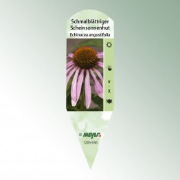 Bild Stecketiketten Favorit Echinacea angustifolia