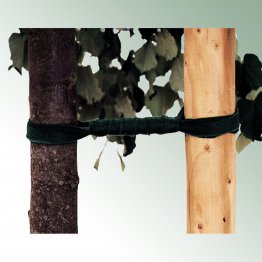 Baumbinder aus Vlies, grün 25 Meter lang, Breite 30 mm
