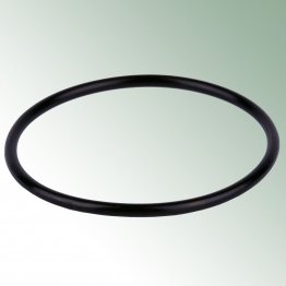 O-Ring passend für Arkal Filter 2 x 1'' AG und