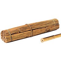 Bambus- | Tonkinstäbe