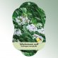 Bild Hängeetiketten Laub Hydrangea macrophylla 1