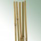 Bambusstab 122 cm, 10-12 mm Profi-Gartenbauqualität 1