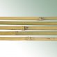 Bambusstab 122 cm, 10-12 mm Profi-Gartenbauqualität 2