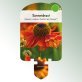Image Stick-on labels perennials Helenium 'Sahin's Early F.'® Sunflower