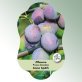 Bild Hängeetiketten Comfort Prunus domestica Pflaume Anna Späth