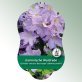 Image Hanging labels Comfort Clematis viticella 'Blue Angel' (Blekitny Aniol)
