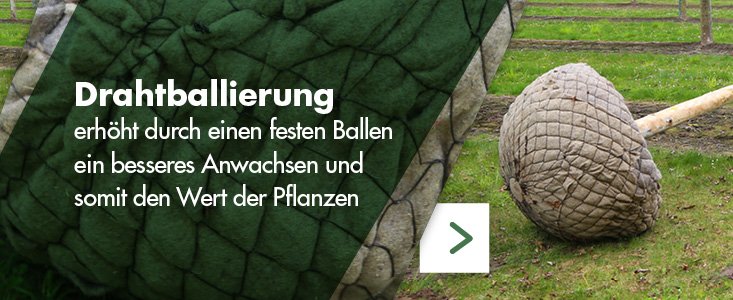 Promotile-Drahtballierung-DE